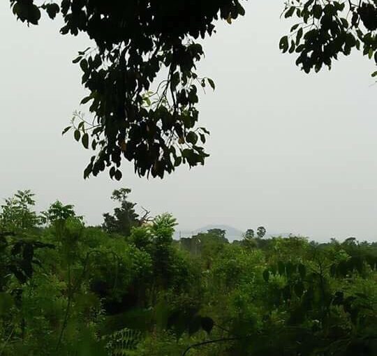 100m X 80m Sea view Land For sale In Kep