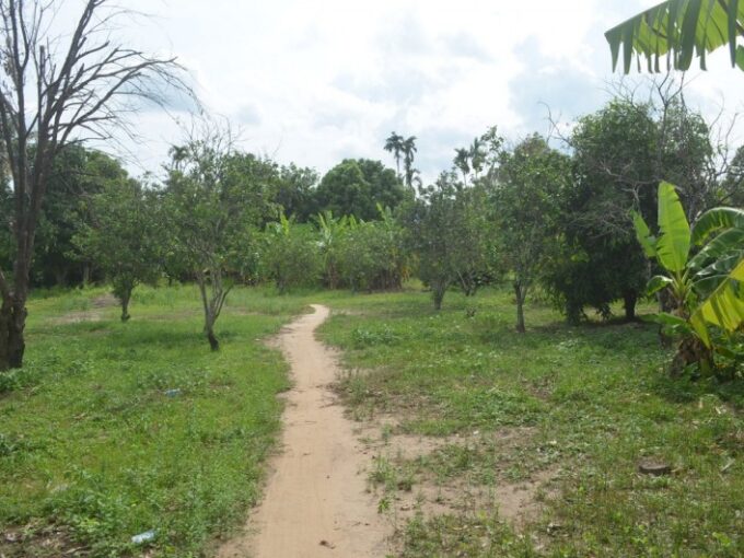 4 hectares land in kampot for sale