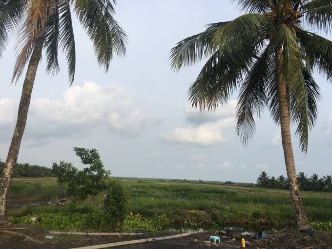 8 Hectares Agriculcure Land for Sale in Sihanoukville Province