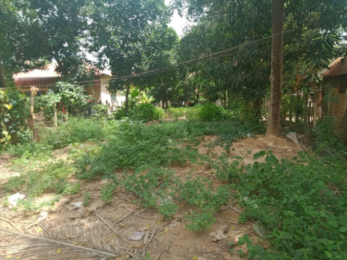 Good Land for Sale Near Night Market in Krong Siem Reap