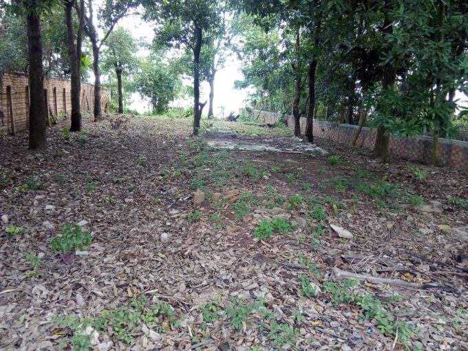 Land For Sale 15m X 50m In Arey skart