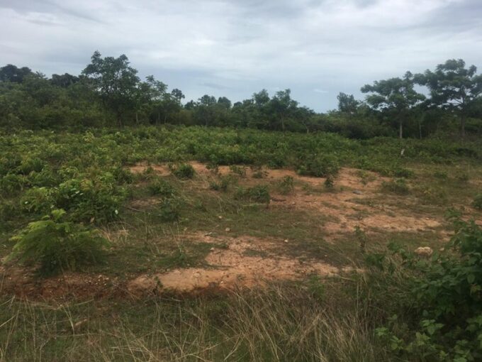 Land for Sale in Kep