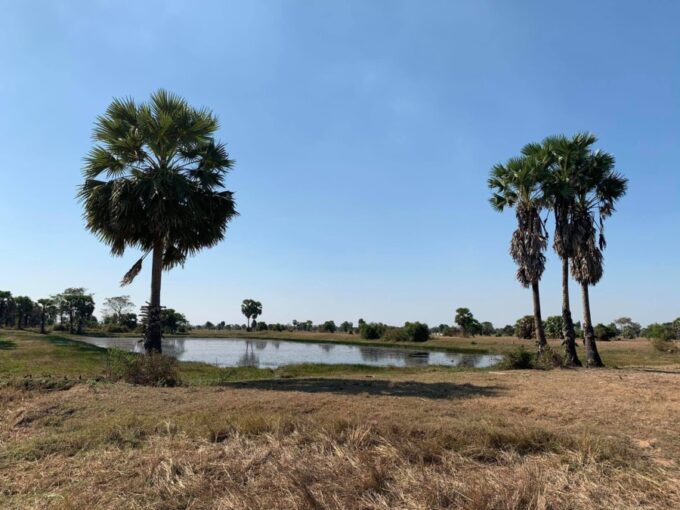 Potential land for sale near new airport in Siem Reap