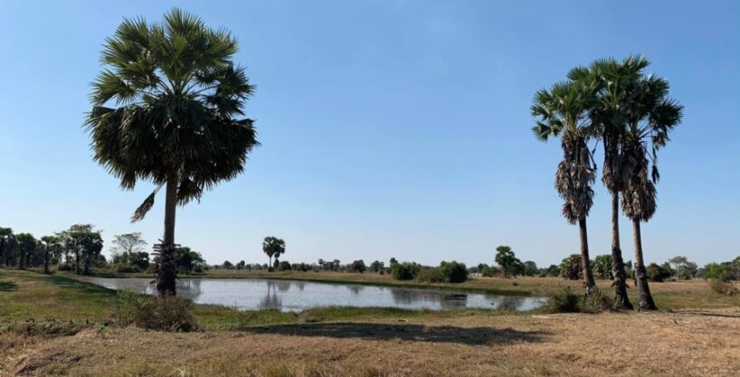 Potential land for sale near new airport in Siem Reap