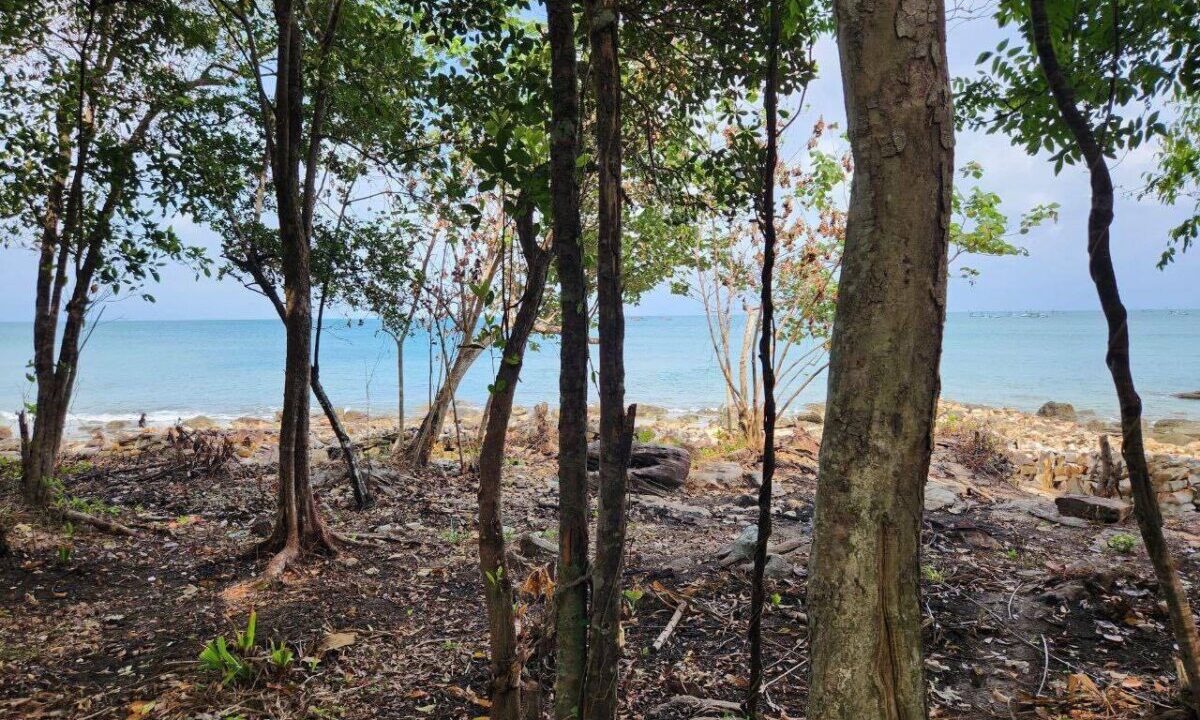 Beachfront land for sale in Koh Rong Sanloem