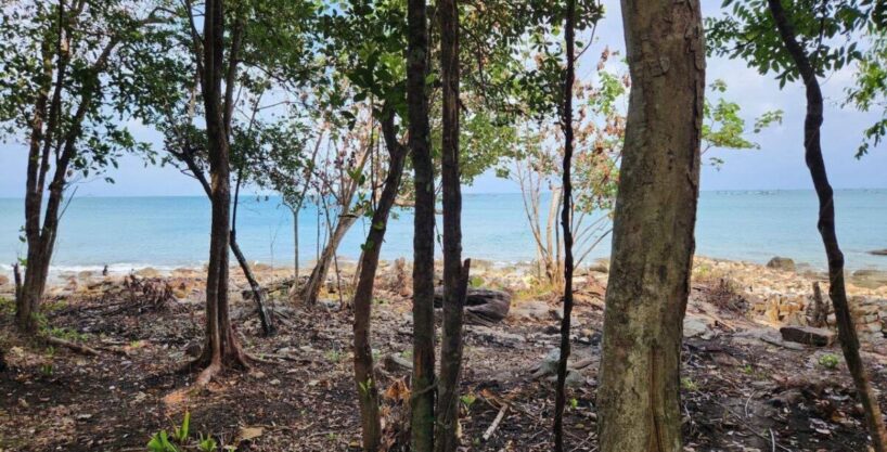 Beachfront land for sale in Koh Rong Sanloem