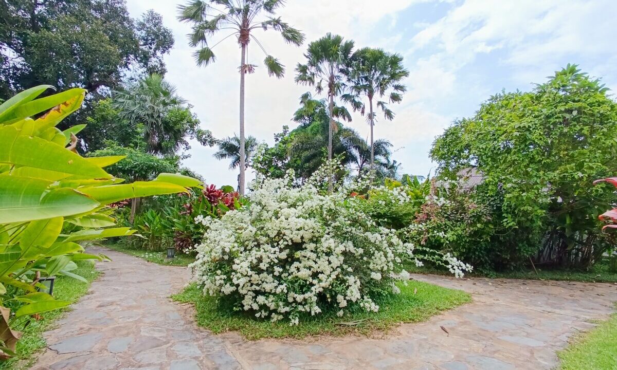 Boutique Resort for Rent in Kep Big Garden Greenery