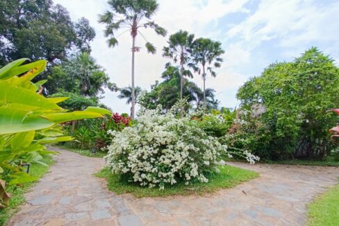 Boutique Resort for Rent in Kep Big Garden Greenery