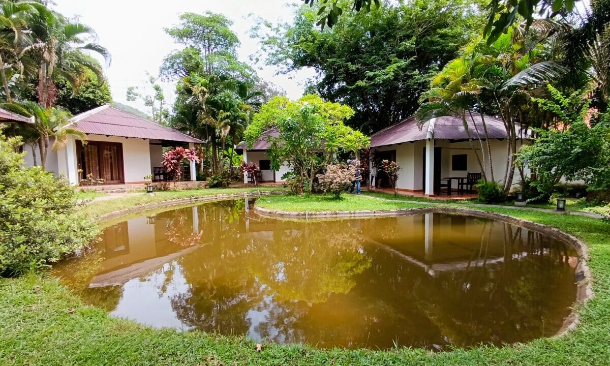 Boutique Resort for Rent in Kep Fishing Pond