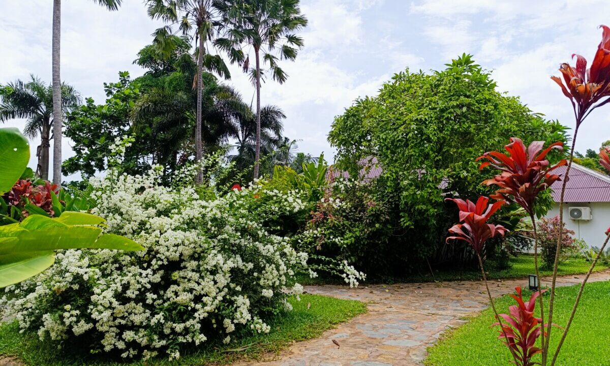 Boutique Resort for Rent in Kep Greenery Garden