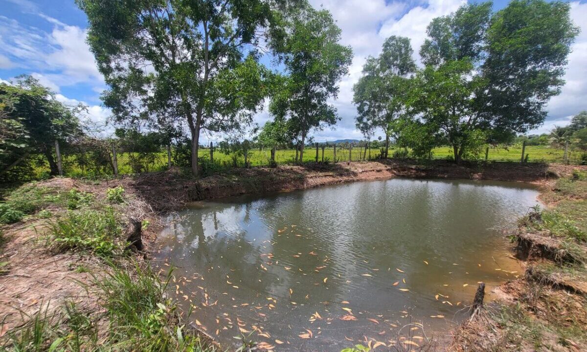 Land for sale in Dang Tong Kampot - Pond Water