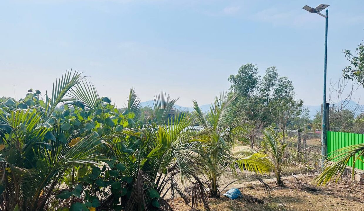 Invetment land in Kampot