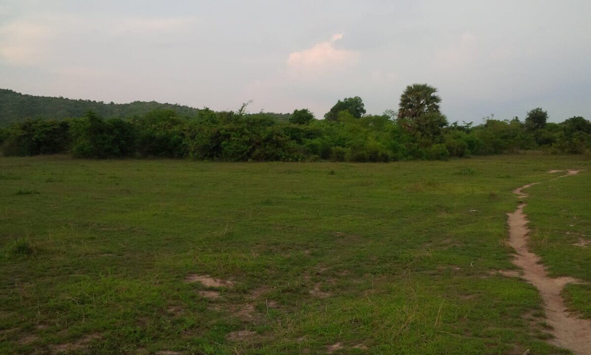 Land for Sale in Kep, Cambodia