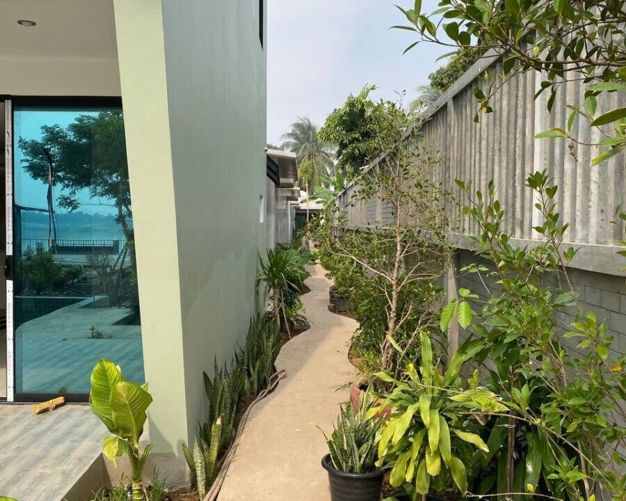 Stunning 14-Unit Riverfront Apartment for Rent in Phnom Penh Plant